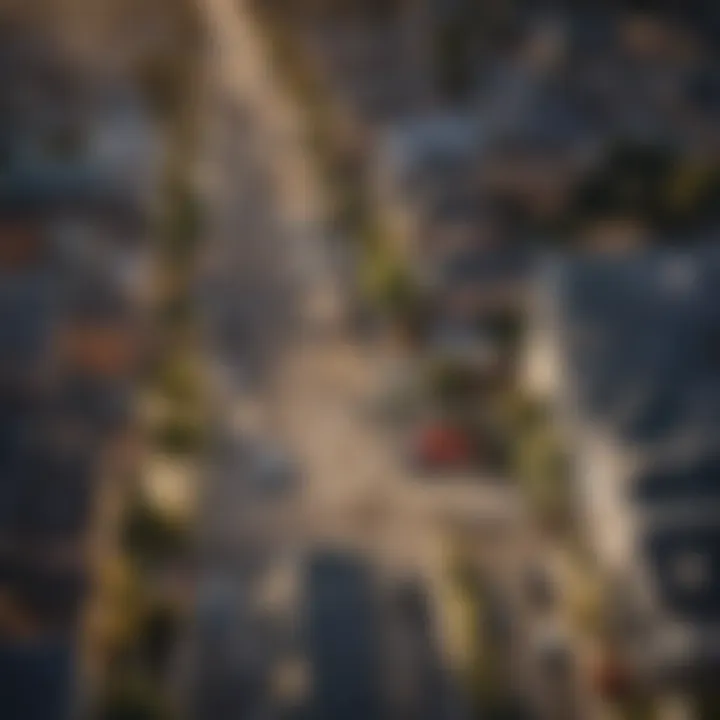 Aerial view of a bustling Los Angeles neighborhood