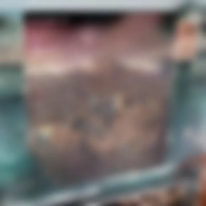 Scenic views from a hilltop neighborhood