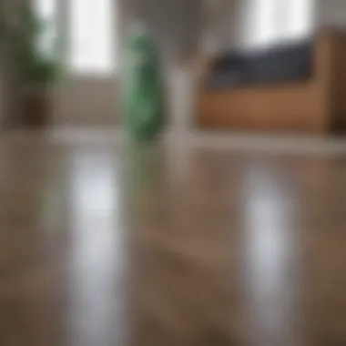 Cleaning Products for Laminate Floors Selection of suitable cleaning products for laminate surfaces