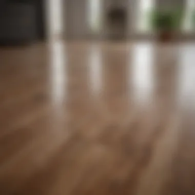 Spotless Laminate Floor Spotless laminate floor showcasing effective cleaning techniques