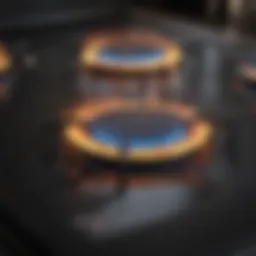 Sparkling clean stove top emphasizing cleanliness