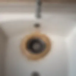Clogged tub drain with hair and debris