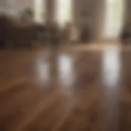 Natural cleaning solutions for wood floors