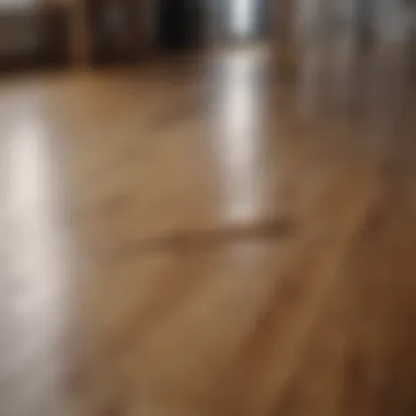 A wooden floor with a variety of natural cleaning ingredients displayed