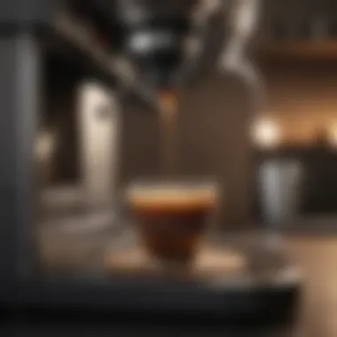 Cleaning Cycle in Action Visual representation of cleaning cycle in coffee maker
