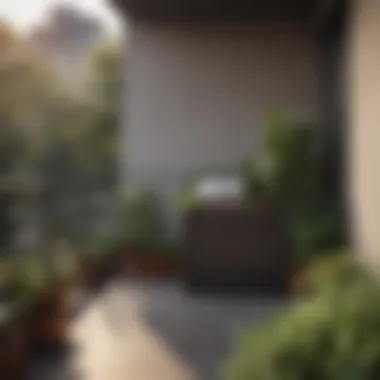 Utilizing Balcony Space for Composting Small balcony garden with composting setup