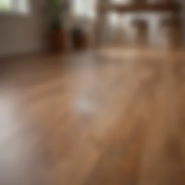 Eco-friendly cleaning products arranged on a countertop