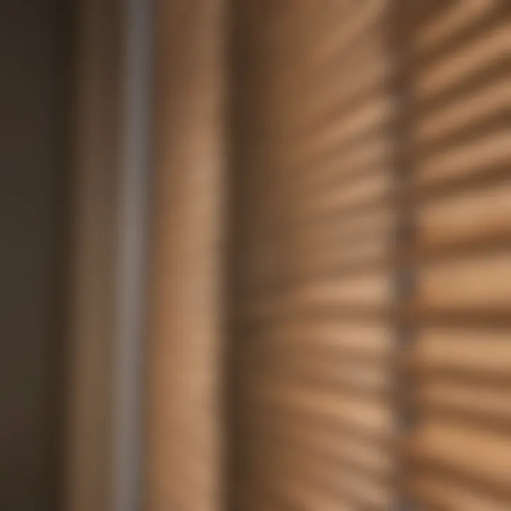 Detail view of clean and well-maintained blinds