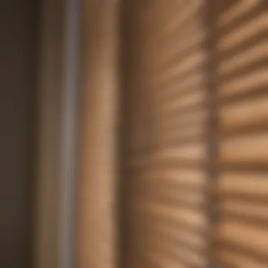 Showcasing Immaculate Blinds Detail view of clean and well-maintained blinds