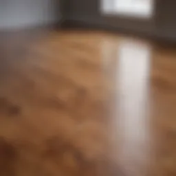 Close-up of a beautifully polished hardwood floor reflecting light