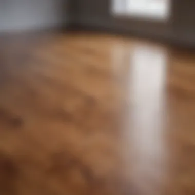Close-up of a beautifully polished hardwood floor reflecting light