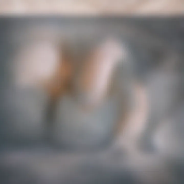 Close-up of a clean, plush couch cushion