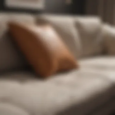 Spot Treatment for Couch Cushion Stains A spot treatment for stains on a couch cushion