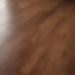 Close-up view of polished hardwood floor reflecting light