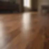 Sleek hardwood floor after cleaning