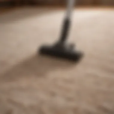 DIY Carpet Cleaning Solutions DIY carpet cleaning solution ingredients laid out