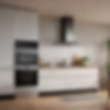 Must-Have Kitchen Appliances Functional kitchen with essential appliances