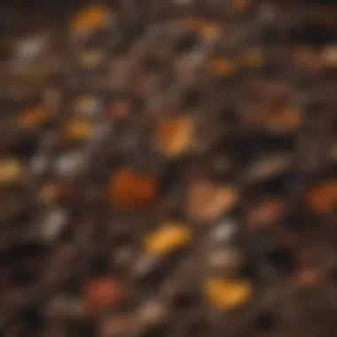 An informative diagram illustrating the layers of a compost pile