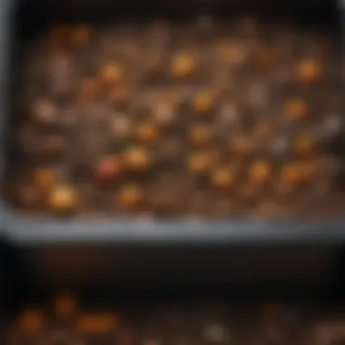 Layers in a Compost Bin A compost bin with layers of organic waste