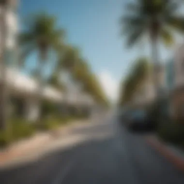 Charming street in Miami lined with palm trees and modern residential buildings