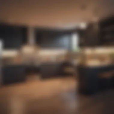 Modern Kitchen for Shared Living A modern kitchen showcasing shared space dynamics among roommates