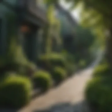 Lush green street view in Beacon Hill
