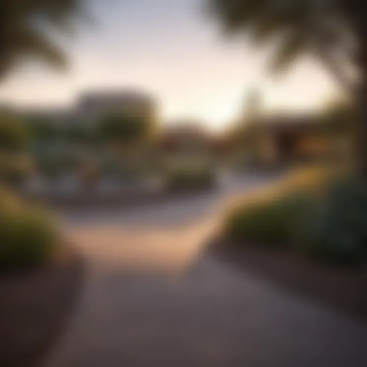 A serene park in Scottsdale, perfect for relaxation and outdoor activities.