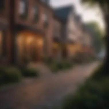 Vibrant Neighborhood Highlighting Local Amenities Vibrant neighborhood scene highlighting local amenities