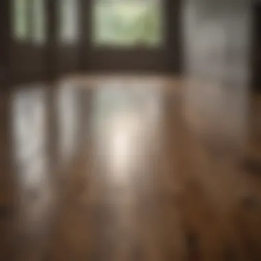 Shining clean wood floor after natural cleaning