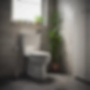 Preventive Maintenance for Toilets Preventive maintenance tips for toilets