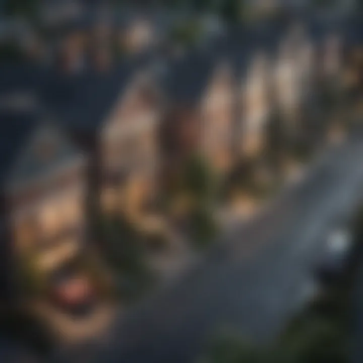Diverse neighborhoods illustrating demographic shifts