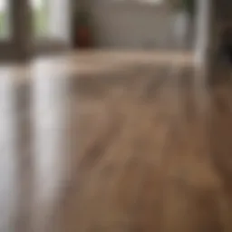 Spotless laminate floor reflecting light