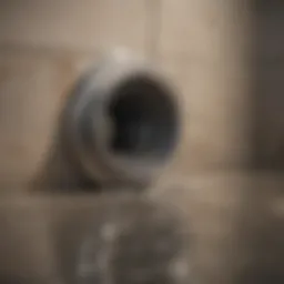 Illustration of common household drain blockages
