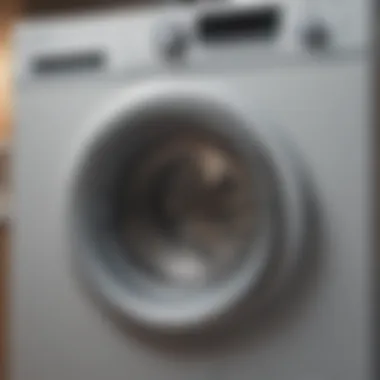 Close-up of a washing machine cycle screen displaying sanitization settings