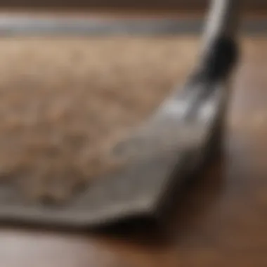 Cleaning Rug with Natural Solutions Close-up of a rug being cleaned with natural solutions