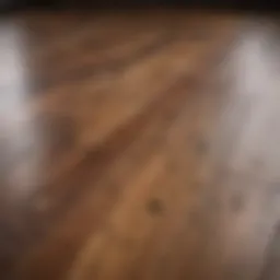 A close-up of a wood floor with a fresh stain