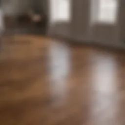Dramatic before and after comparison of wood floor restoration