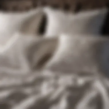 Various types of bed pillows showcasing their unique materials