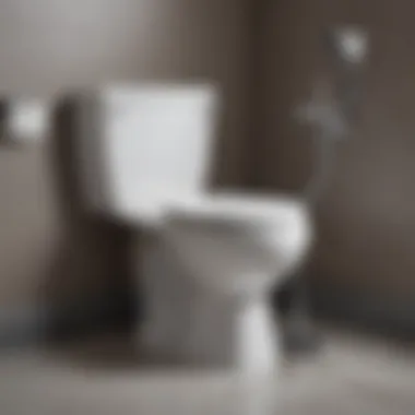 Toilet Auger in Action Visualization of a toilet auger in action