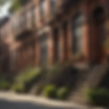 Vibrancy of Brownstone Living Iconic brownstone neighborhood bustling with energy and life