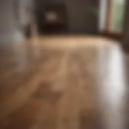Spotless wooden floor after cleaning