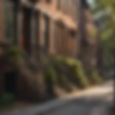 Brownstone Neighborhood Life A vibrant neighborhood street lined with brownstones, illustrating urban life.