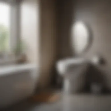 Before and after comparison of unclogged toilet using natural methods