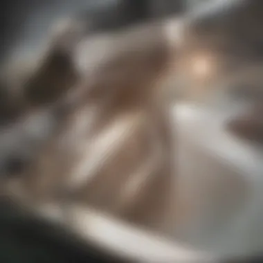 Techniques for Effective Drain Unclogging A step-by-step guide to unclogging a sink