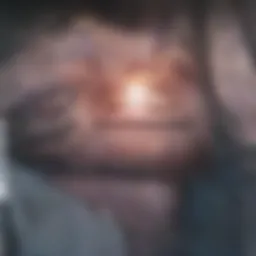 A selection of modern cleaning tools arranged aesthetically