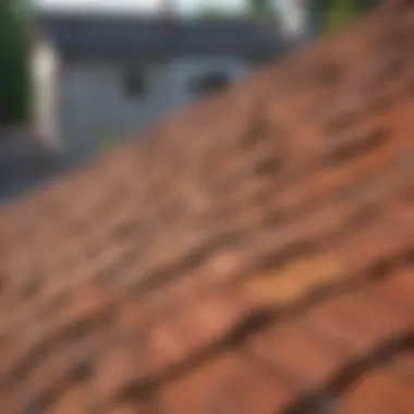 Close-up of a roof's condition during inspection