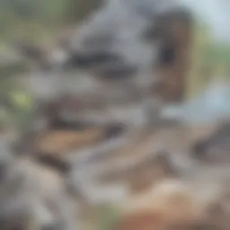 Overview of property management fees