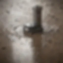 A close-up of a shower drain showing debris buildup