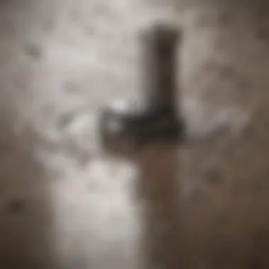 Debris Accumulation in Shower Drain A close-up of a shower drain showing debris buildup