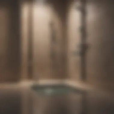 Effective Solutions for Shower Drainage Visual representation of effective drainage solutions